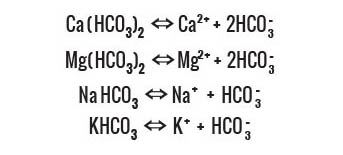 Bicarbonate ions which increase the alkalinity of the water.