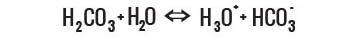 Dissolution reactions due to contact of the water with underground carbonate rocks, such as CaCO3 MgCO3 and K2CO3.