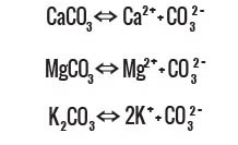 The chemical reactions for dissolution